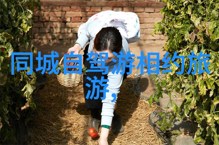 探秘中国神秘古城揭秘万里长城的奥秘与魅力