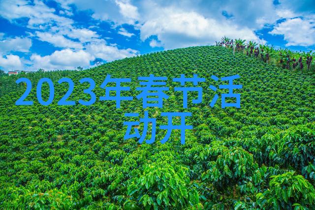 户外小游戏100种来一起玩吧我带你去探索那些超级有趣的户外小游戏