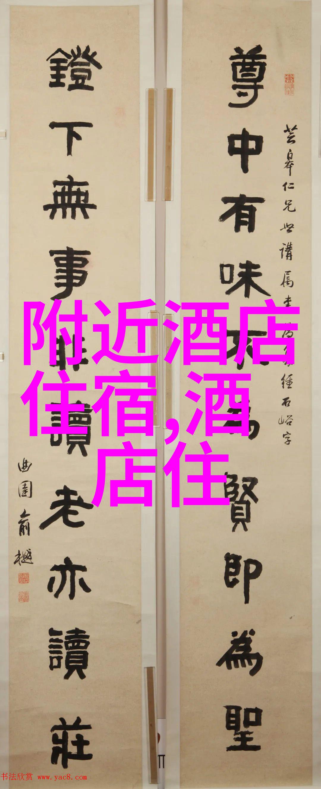 可以通过哪些艺术形式来体现或解读一个人的对待天安门的情感与态度