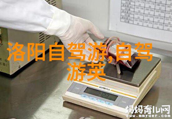 一小时骑行20公里快吗 - 破晓之旅骑行速度与体能的极限考验