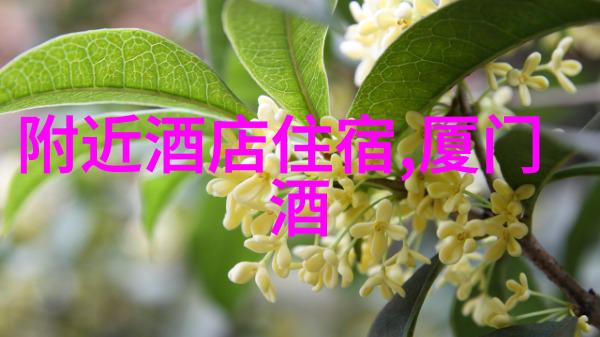 安徽自驾游田野里的现代之光