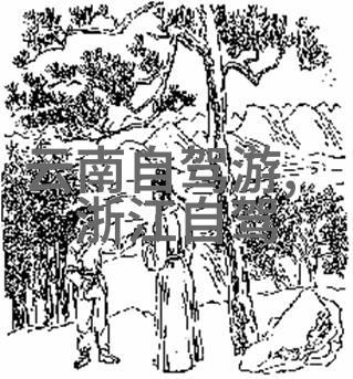 九华山休息一晚游最佳路线图 - 探索青松峡的秘密一日游指南