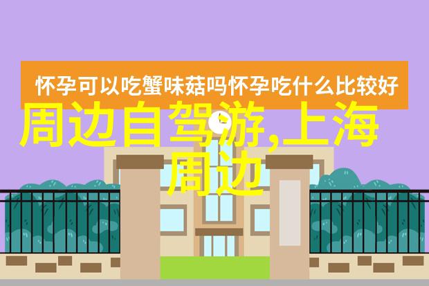 每日26公里骑行对身体的深刻变革提升心肺功能增强肌肉力量和耐力