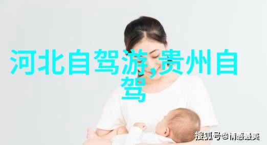 公路之翼捷安特探索者