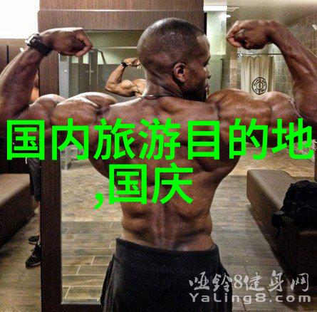 中国旅游数据网探索数字时代的旅途规划与体验共享