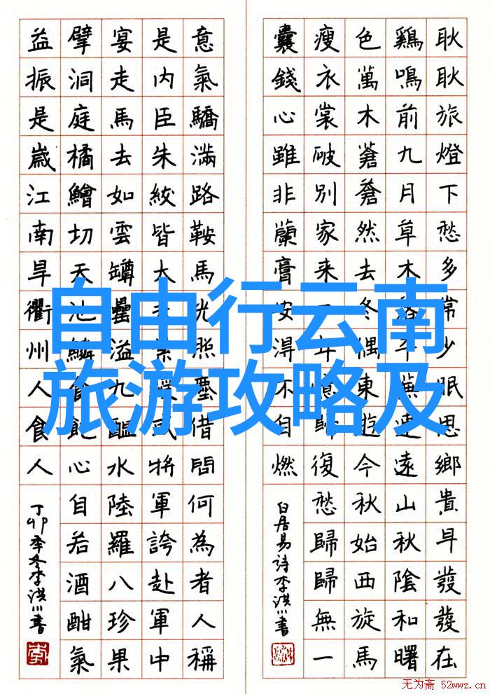 探索未知寻觅旅途的完美伴侣
