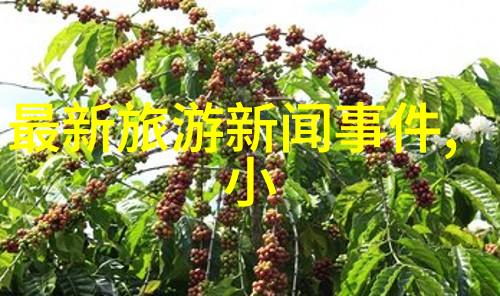 绘卷中的故乡探索中国美丽的隐秘角落