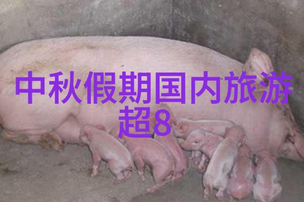 乌镇迷雾中的民宿隐藏在水乡古桥下的秘密之家