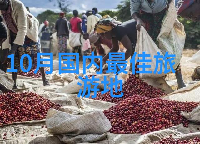 男友在被窝里吃我的胸爱情中的误解与挑战