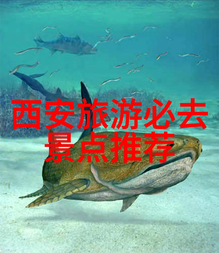 秋日湖光泸沽湖的绚烂盛放