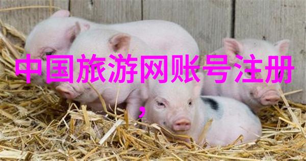 北海旅游攻略必去景点推荐北海之窗白沙岛百色水上乐园