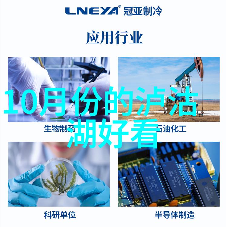 美食攻略-品味江南探索古镇美食的不朽传奇