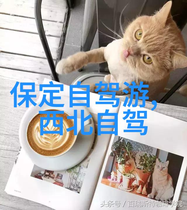 赛里木湖之谜碧水明珠与沙漠的呼唤
