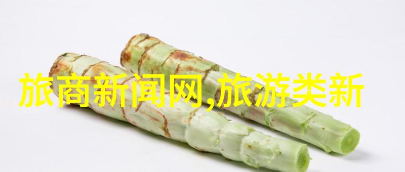 中班幼儿园户外100种游戏-探索活力创意满满的中班户外游戏盛宴