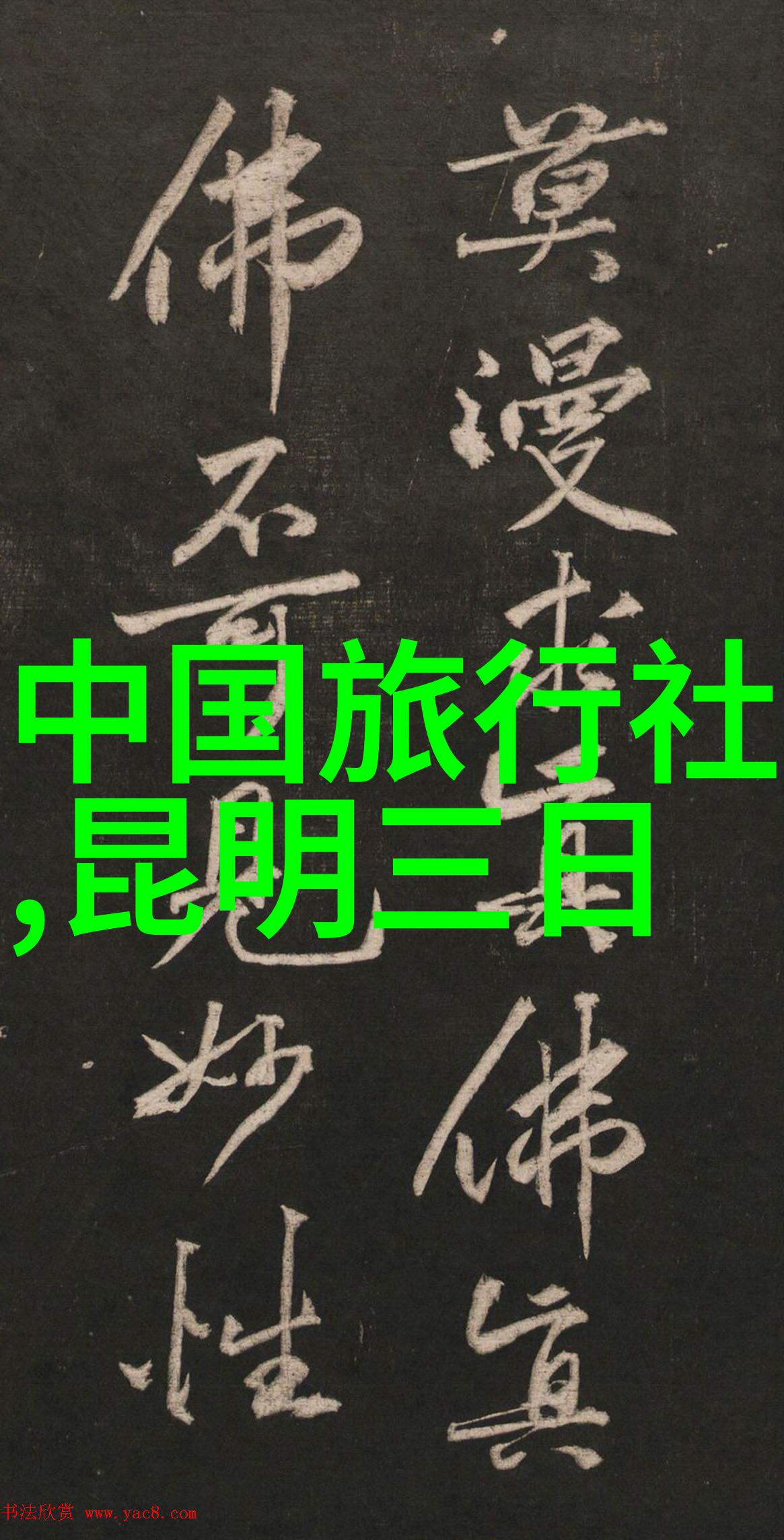 企业员工户外拓展活动总结 - 激发团队活力我们共同的户外拓展之旅