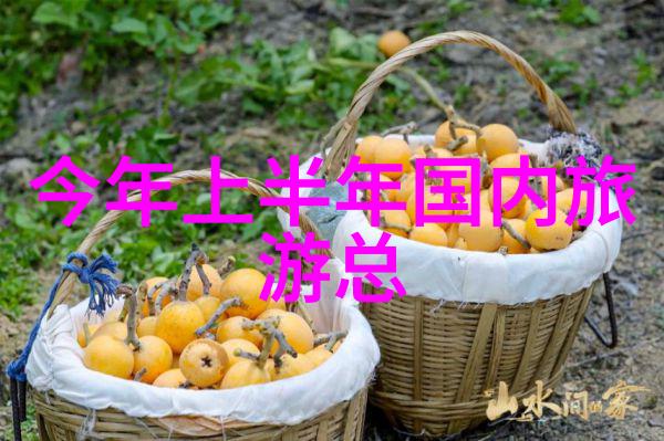 318川藏骑行悲剧狼群袭击下的孤独旅人