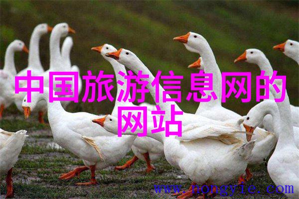 蛇影狮威女主的巅峰逆袭