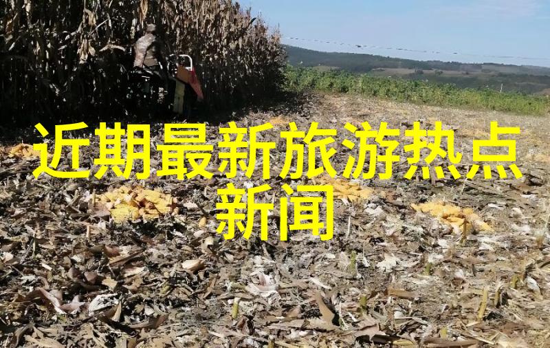香港高街最新旅游热点在社会中掀起新风潮