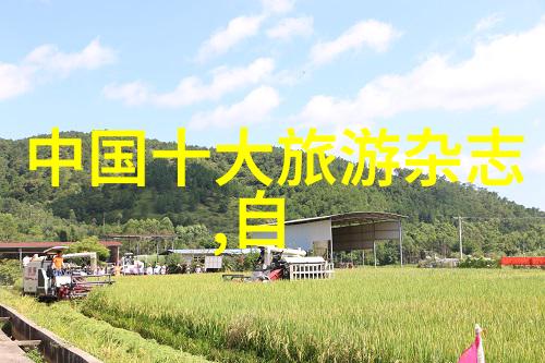 如何通过房间布局优化儿童的身体和脑部发展