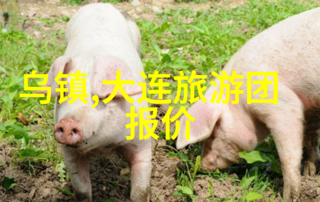 海韵之城厦门的温馨避风港