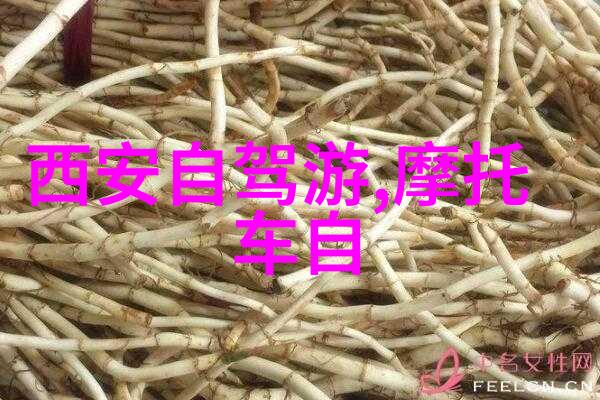 探索世界奇观国外最迷人的旅游胜地