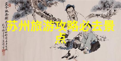 骑行装备选型与使用策略研究探索高效骑行的关键因素