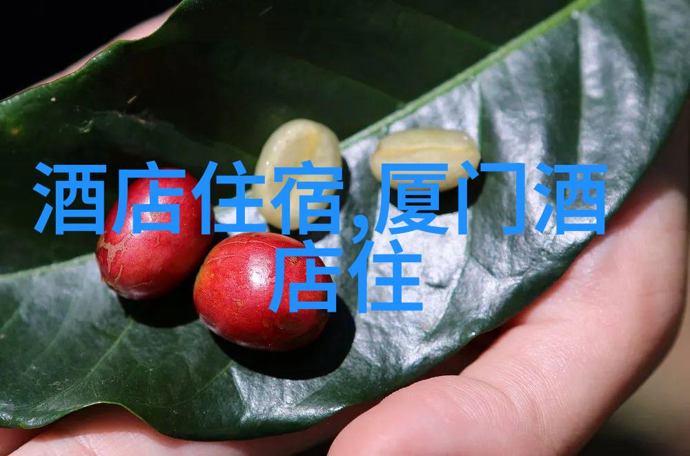 群体互动与知识探究设计一项适合50-60人参与的集体活动方案