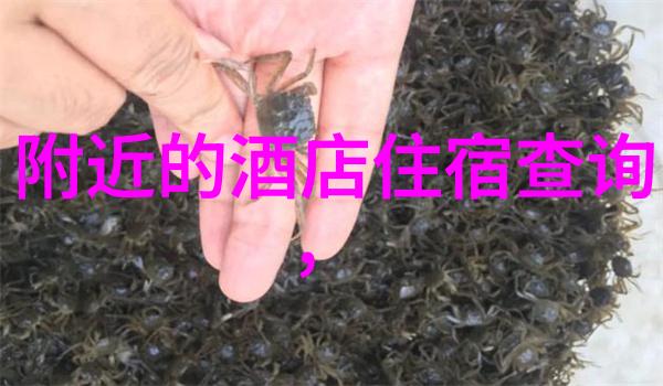 推荐杭州美食招待朋友探索哪个城市美食最多