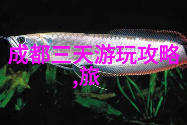 探索恩施天地一条穿越神秘古镇与奇峰的旅行路线
