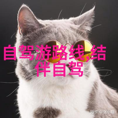 西安古城游记兵马俑与华夏文明的见证