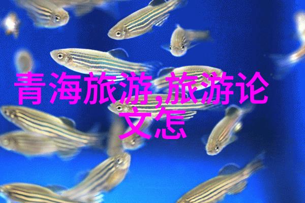 中国美丽的古城重游杭州的魅力之旅