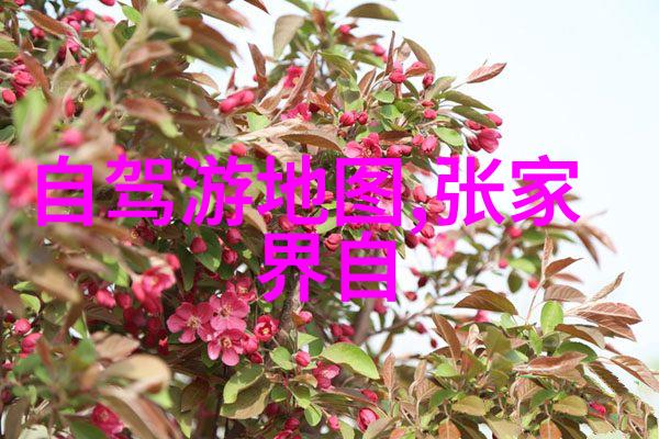 探索未知我的游作文之旅