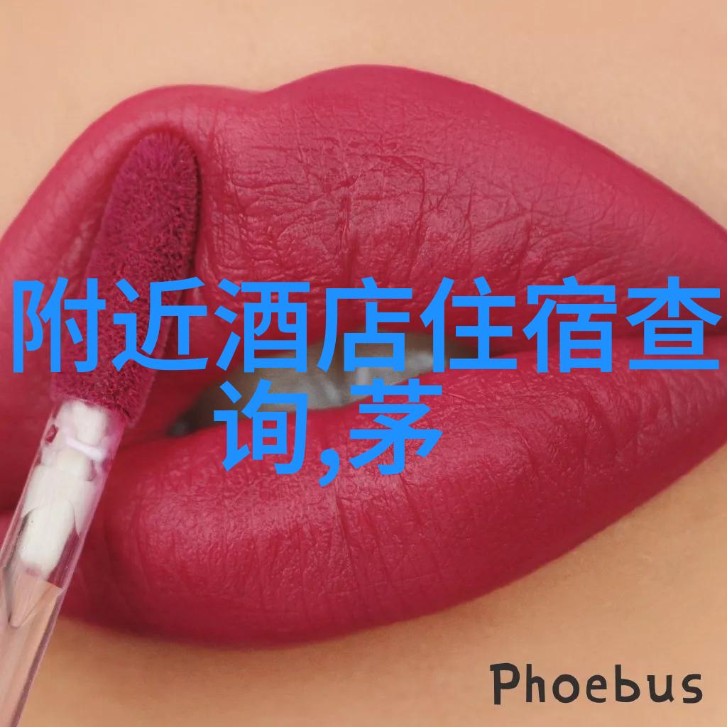 同城游友团队探索美好旅程的伙伴