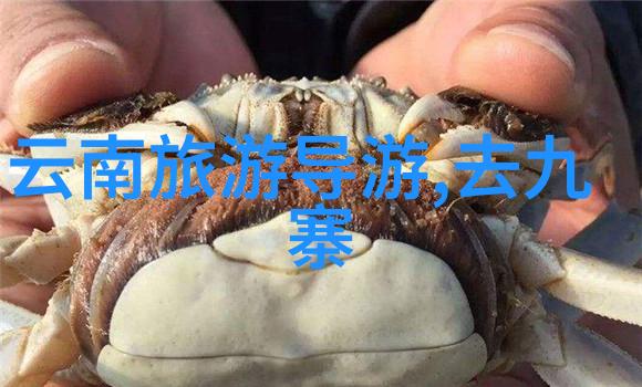 世界十大著名景点排名 - 探秘地球上最令人赞叹的奇迹之旅
