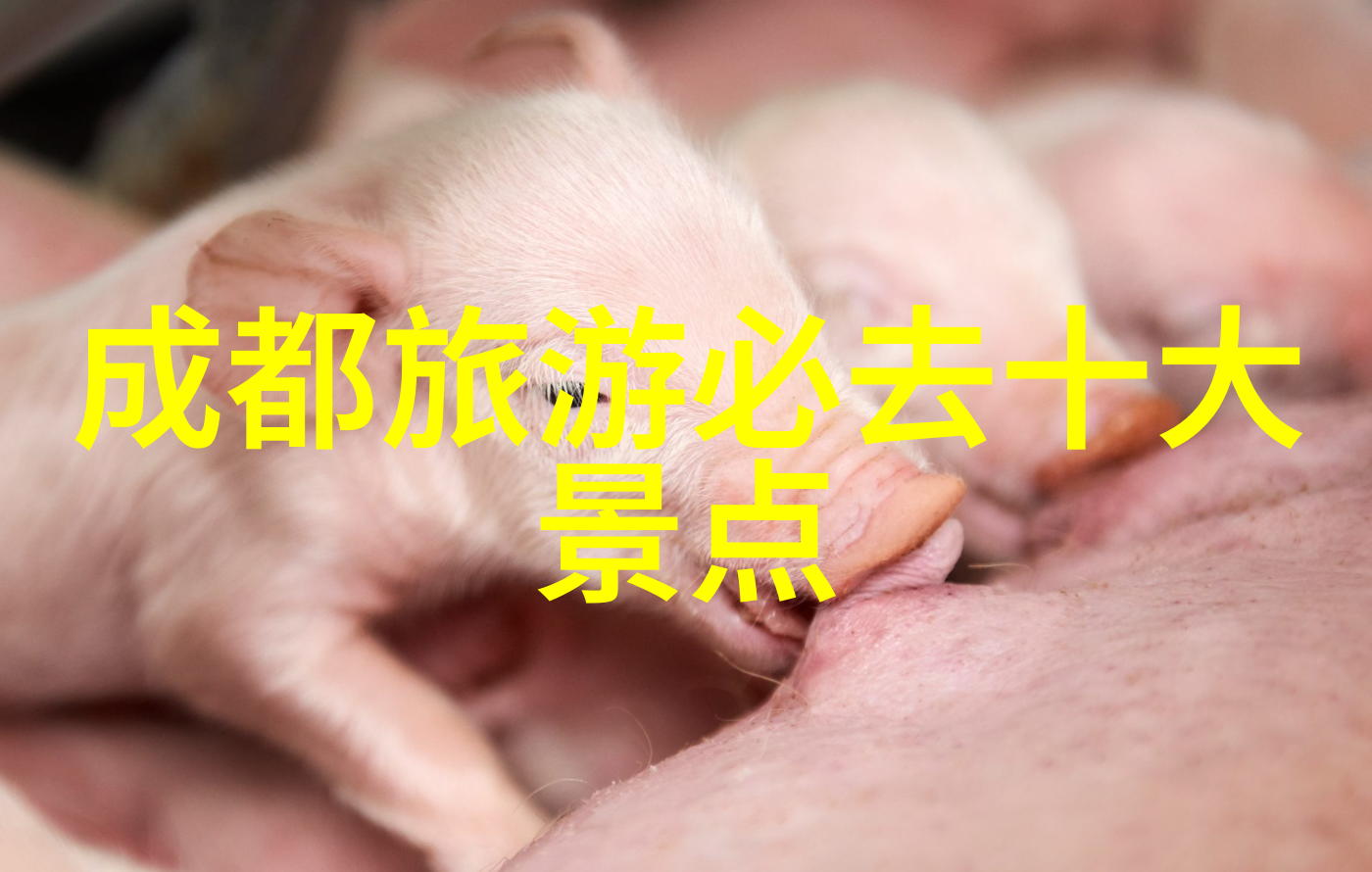 新型年轻人娱乐项目-震撼体验未来的虚拟现实乐园如何重塑年轻人的休闲生活