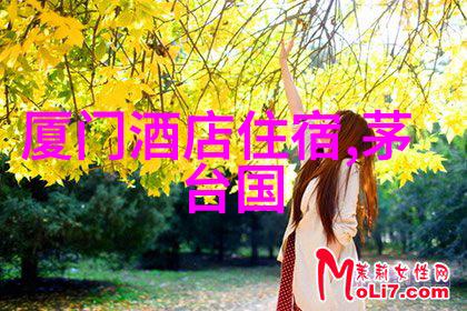 北京大兴机场的温馨栖居书香般的住宿攻略享受心灵上的阳光明媚