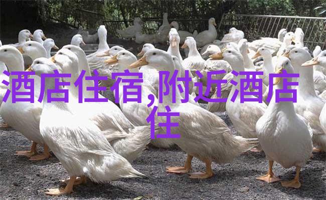 重庆周边自驾游探秘揭秘江南水乡的美丽画卷