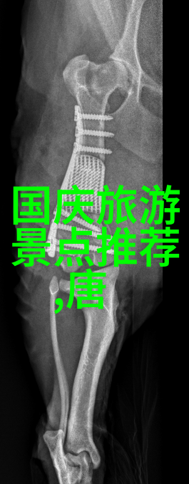 如何反复探索银川到青海湖的自驾游路线在旅游攻略网站上寻找答案