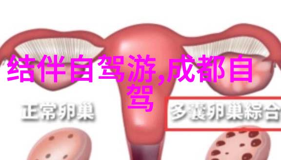 澳大利亚悉尼歌剧院背后的故事一个现代城市的心脏地带