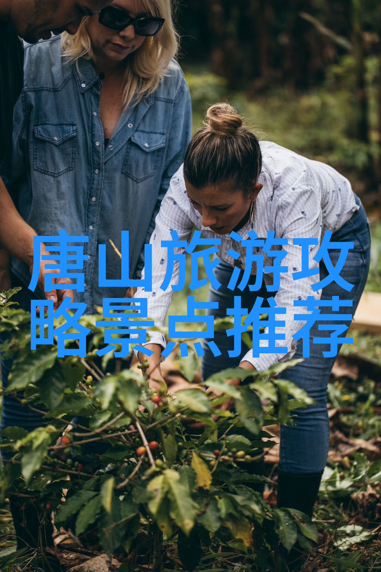 重庆旅游详细攻略揭秘天府之国的美食文化与奇观