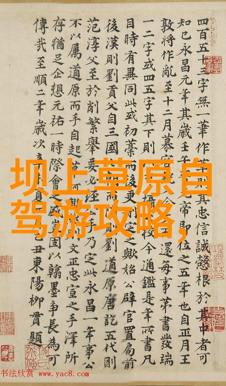出境必备解密当前旅行证件与签证流程