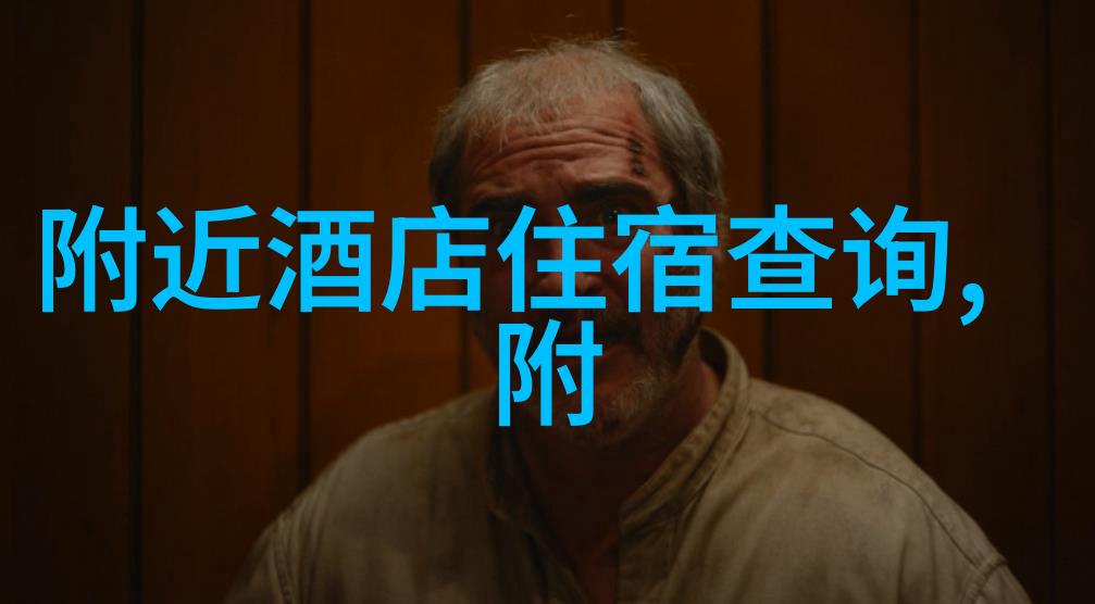 香港迪士尼春节内地市场出击称不惧经济危机 西北旅游攻略必去景点大全成物品热销新引力