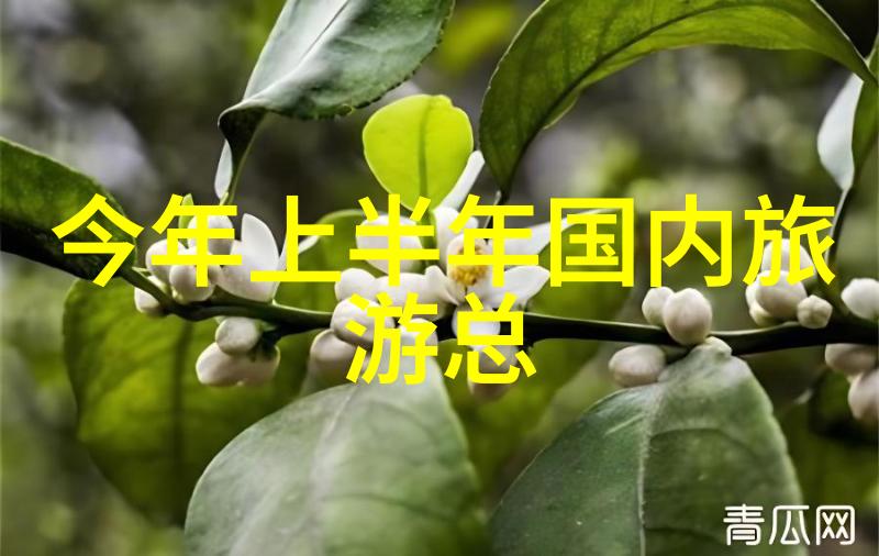 云南旅游景点推荐我要去云南这些地方绝对要逛逛