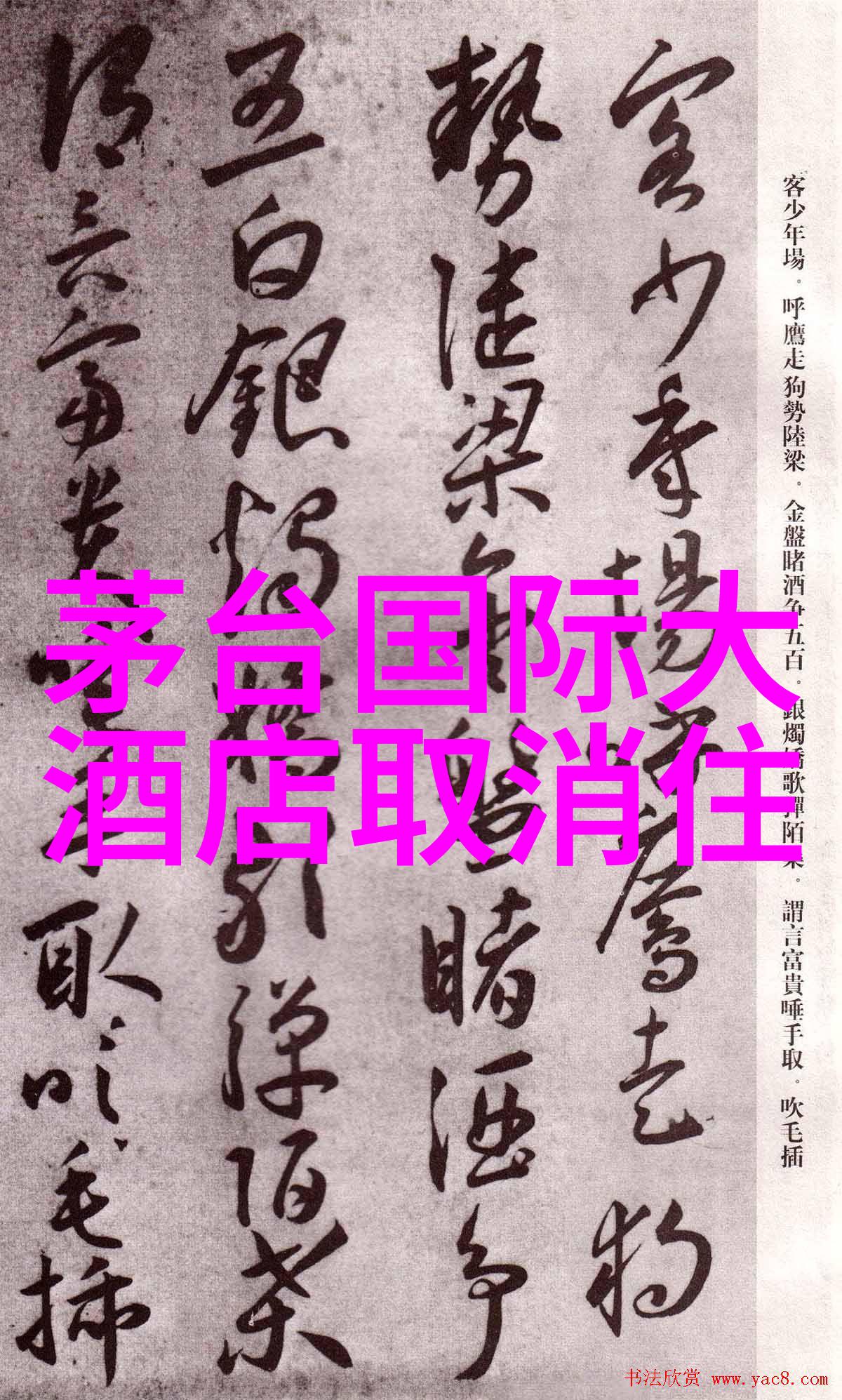 夏日海鲜大餐再把腿X开一点就可以吃到扇贝的诱人秘密