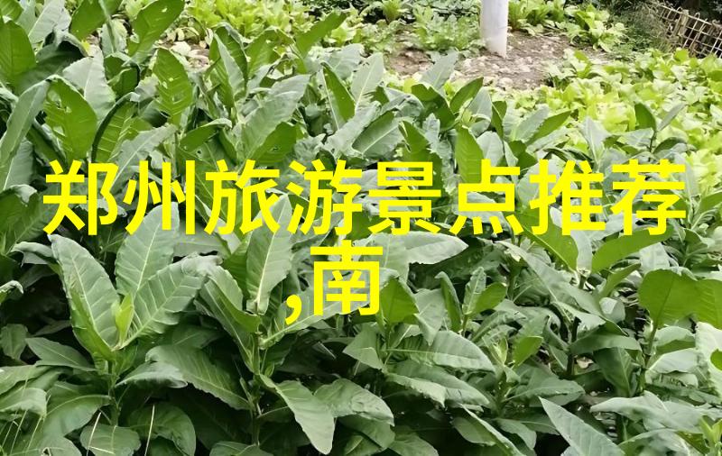 探索未知穿越时光的古道自驾之旅