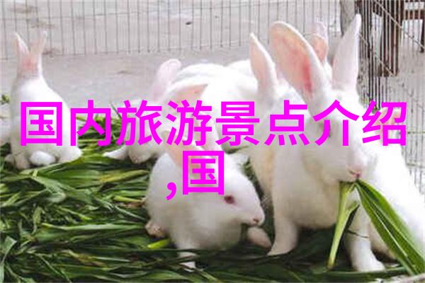 探秘口味附近好吃餐厅的精选指南