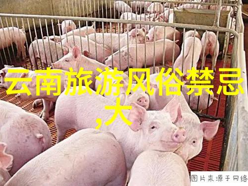 为何选择家庭式公寓是住在北京同仁医院最好的选择