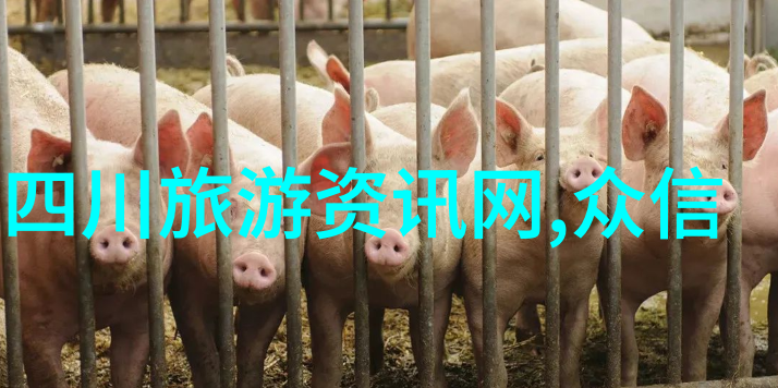 新春佳音旅游资讯行业迎来十八年发展新篇章