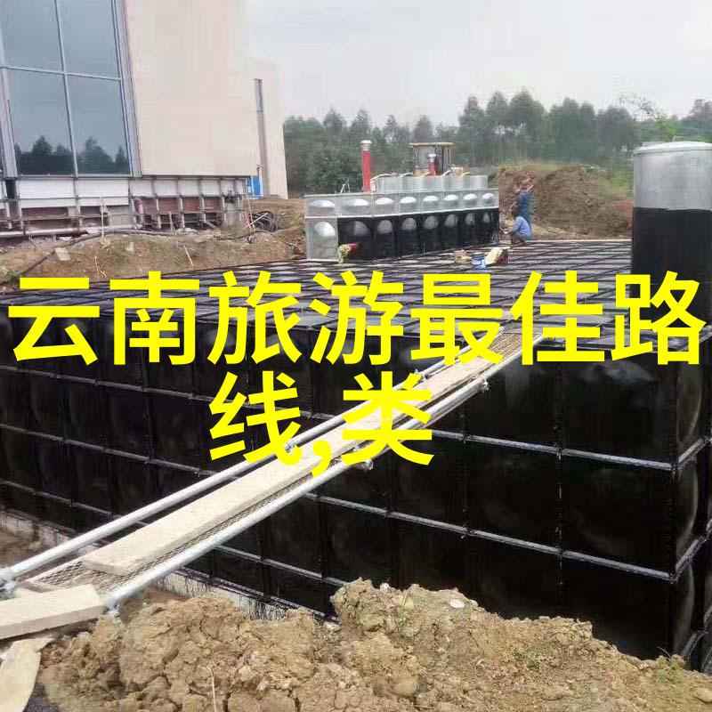 为何选择顺德揭秘这个地方游客们为什么爱它的地方