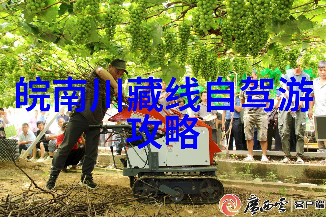 飞屋环游记-翱翔蓝天的奇遇飞屋环游记中的神秘岛屿